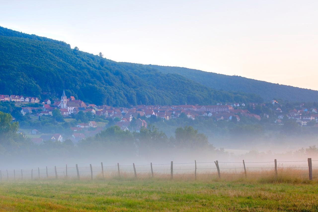 Hotellerie Du Couvent Oberbronn Екстер'єр фото