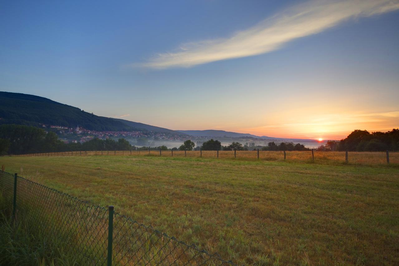 Hotellerie Du Couvent Oberbronn Екстер'єр фото